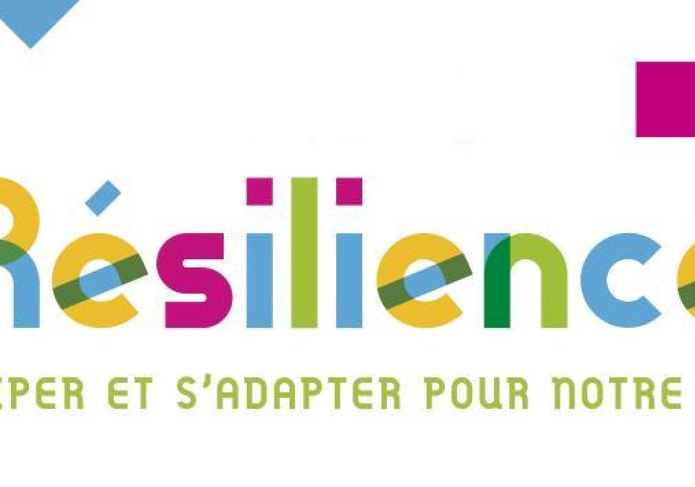 Resilience theme banner 0
