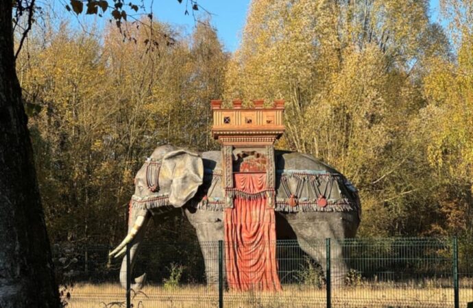 6ca3aefd e65c 449a ab4f 8dfbb39c2152 1